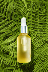 Cosmetic glass bottle with natural essential oil lies on a green leaf. The concept of organic essences, natural beauty and health products. Modern apothecary.