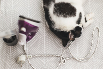 Adorable cat sleeping at iron cable on modern cloth. Laundry and housekeeping concept. Cute black and white cat relaxing on ironing board in stylish room, cozy moment.