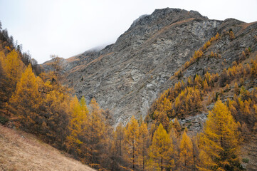 Hiking up to Triftalp in autumn.