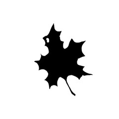 illustration.silhouette of a black tree leaf.isolated on a white background. Icon leaves of different shapes in a modern flat style.