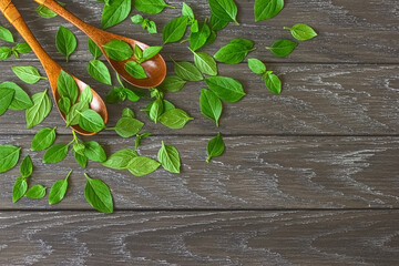 fresh basil leaves in wooden spoons on a wooden background top view. background with fresh basil leaves.