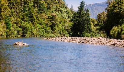 Kauaeranga River in New Zealand