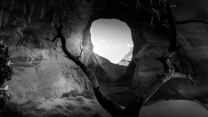 Black and White Photo of Dead Tree in front of The Ear of The Wind, a hole in a rock formation in Monument Valley Navajo Tribal Park on the border of Utah and Arizona, United States