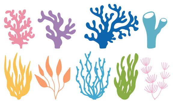 Vector set of colored corals and seaweeds silhouettes. Underwater coral reef and sea kelp in hand drawn doodle style. Marine aquarium plants illustration.