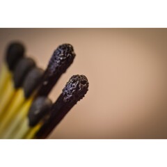 Burnt matchstick