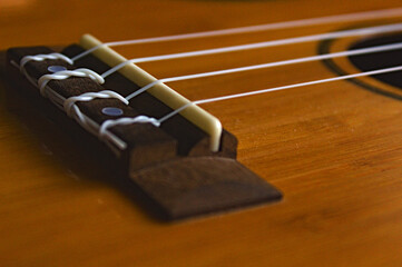 acoustic Ukulele close up
