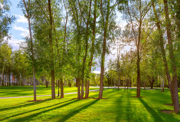 .Beautiful panorama of a green city park at sunrise