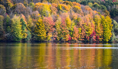 Fototapeta premium Autumn Landscape