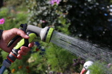 Hand watering flowers in the garden from a hose