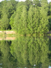 lake in the forest