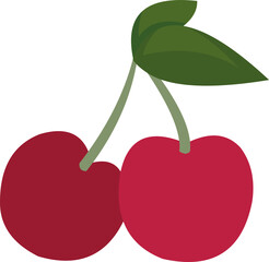 Vector illustration of cherries fruit