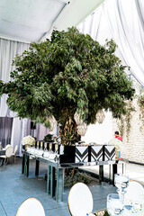 Hermosa decoración en interior con bouquets de rosas. Eventos sociales de gama alta en México