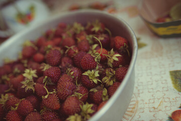 young fresh strawberries collected on a garden plot on a summer day. strawberry harvest in an iron...