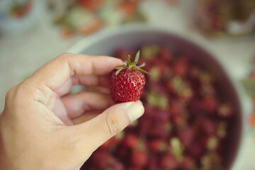 young fresh strawberries collected on a garden plot on a summer day. strawberry harvest in an iron...