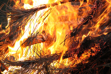 Full Frame Shot Of Burning Twigs