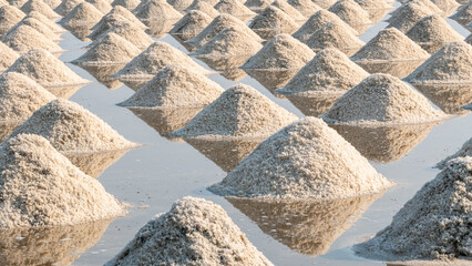 Sea salt piled up in salt fields