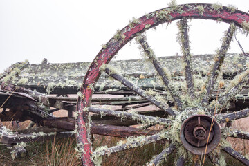 Old wheel of a vintage cart pulled by horses