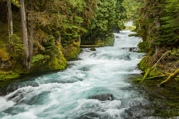 The Mckenzie River in the Willamette National Forest, Oregon.