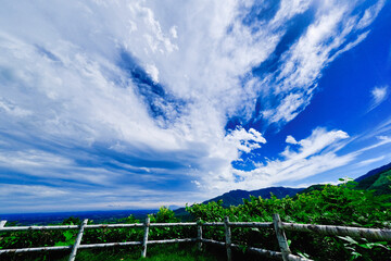 Fototapeta premium 十勝の青空