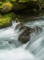 Fototapeta na wymiar The Mckenzie River in the Willamette National Forest, Oregon.