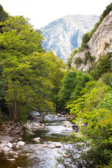 Fototapeta na wymiar The water of river Deva flowing among trees and mountains