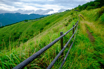 Fototapeta na wymiar 神奈川県の大野山からの風景