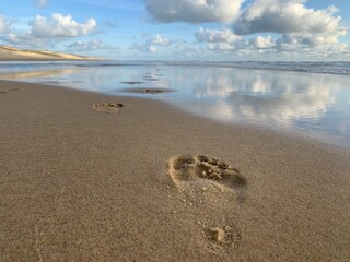 footprints on the beach