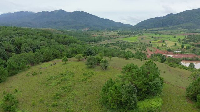 The lush green countryside in the Plain of Jars in Asia, Laos, towards Luang Prabang, in summer, on a cloudy day.