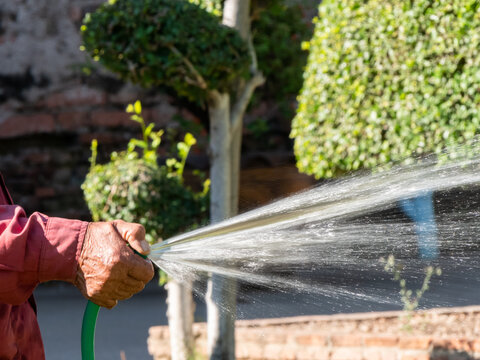 A woman's hand watering the lawn