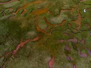 Landscape with sheep photographed in Scotland, Europe. Registration made in 2019.