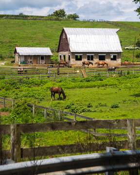 Barns In Western Maryland