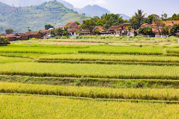 Jawa, Insel, Indonesia,,borubodur, Temple, r, vulcano. sawa, rise