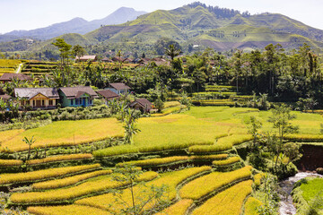 Jawa, Insel, Indonesia,,borubodur, Temple, r, vulcano. sawa, rise