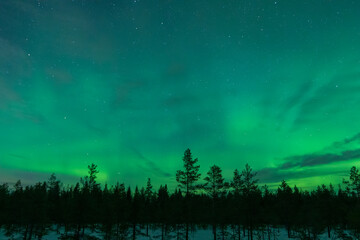 Fototapeta premium Zorza polarna Aurora Borealis Zorza polarna Laponia Szwecja