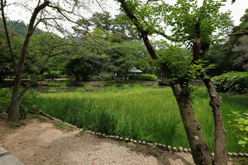 出雲大社　島根