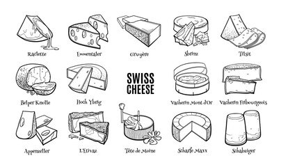Collection of traditional Swiss cheese. Hand drawn sketch in doodle style.