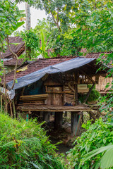 Jawa, Insel, Indonesia,, vulcano. sawa, rise