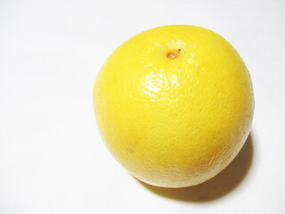 グレープフルーツ