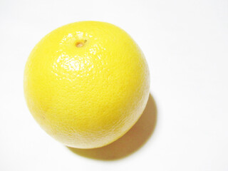 グレープフルーツ