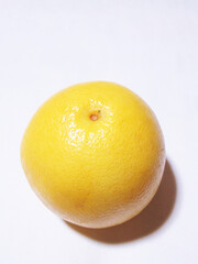 グレープフルーツ