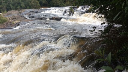 waterfall in the forest