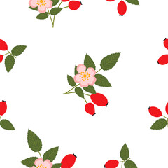 Rose hip. Seamless Vector Patterns