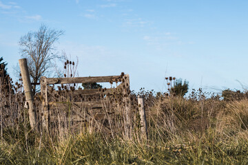 Fototapeta premium Old gate in the middle of a field in Argentina.