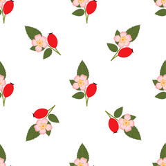 Rose hip. Seamless Vector Patterns