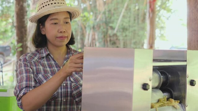Slow motion of Asian female farmer find additional income by selling fresh sugar cane juice via the sugar cane juice squeezing machine on Saturday and Sunday for tourists.