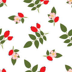 Rose hip. Seamless Vector Patterns