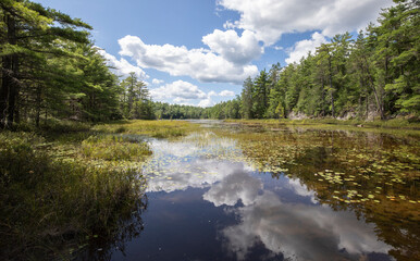 Bright white clouds and trees reflected in a still pond in Haliburton Ontario in summer