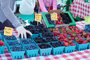 Farmers Market  Berries