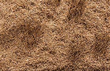 Dried anise seeds - Pimpinella anisum
