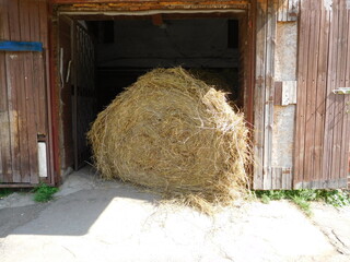 round bale of hay lies in the opening of the open gate of the stable on a summer day